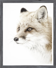 15 × 18 po – Cadre Gris