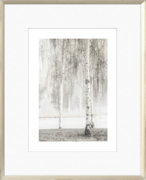 Taupe Aspect IX wall art featuring birch trees in a misty landscape, framed in a light wood frame.