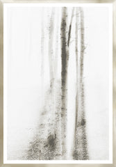 32 × 46 po
