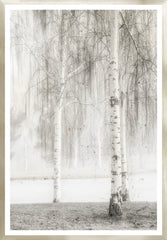 32 × 46 po