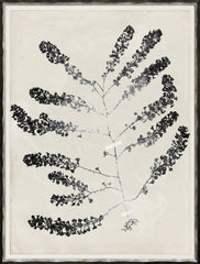 48 × 63 cm – Argent doré