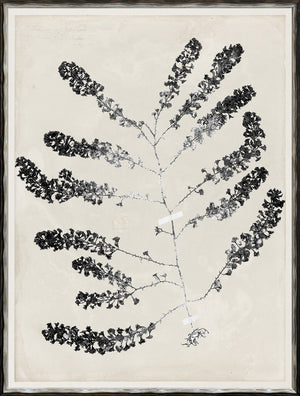 De Mari Series I framed art print, Gild Silver, 19 × 25 in