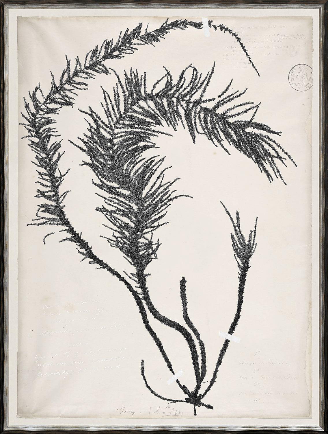 De Mari Series VI framed art print, Gild Silver, 19 × 25 in