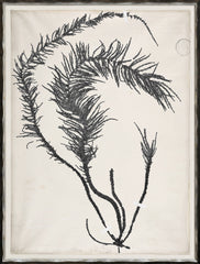 48,26 × 63,5 cm – Argent doré