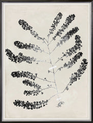 31 × 41 po – Argent doré
