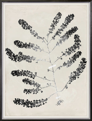 De Mari Series I framed art print, Gild Silver, 31 × 41 in