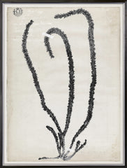 31 × 41 po – Argent doré