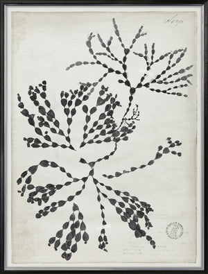 De Mari Series VII framed art print, Gild Silver, 31 × 41 in