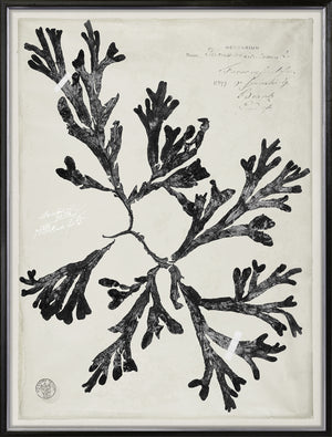 De Mari Series VIII framed art print, Gild Silver, 31 × 41 in