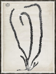 19 × 25 po
