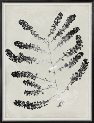 De Mari Series I 2 framed art print