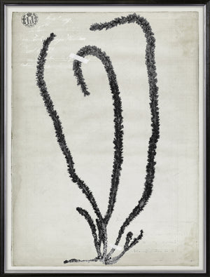 De Mari Series Ii 2 framed art print