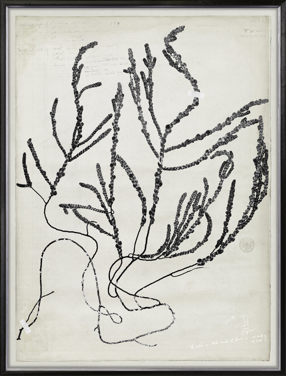De Mari Series V 2 framed art print