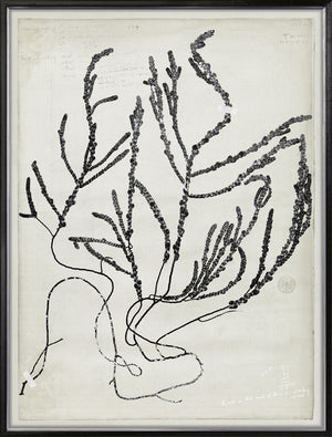 De Mari Series V 2 framed art print