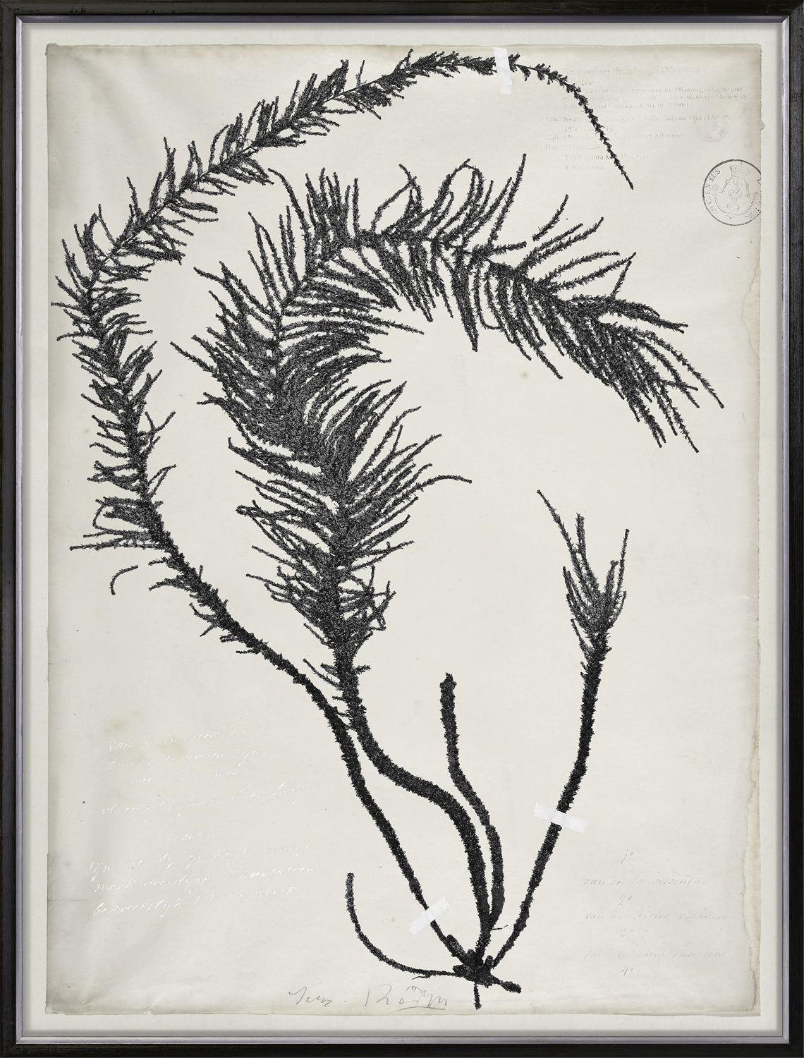 De Mari Series Vi 2 framed art print