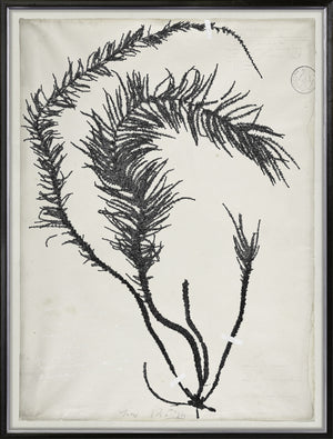 De Mari Series Vi 2 framed art print