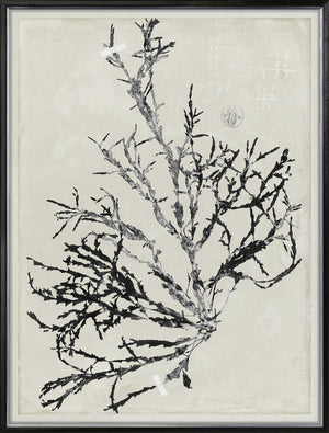 De Mari Series Ix 2 framed art print