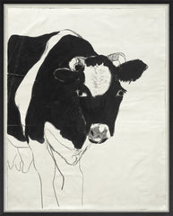 25 × 31 po