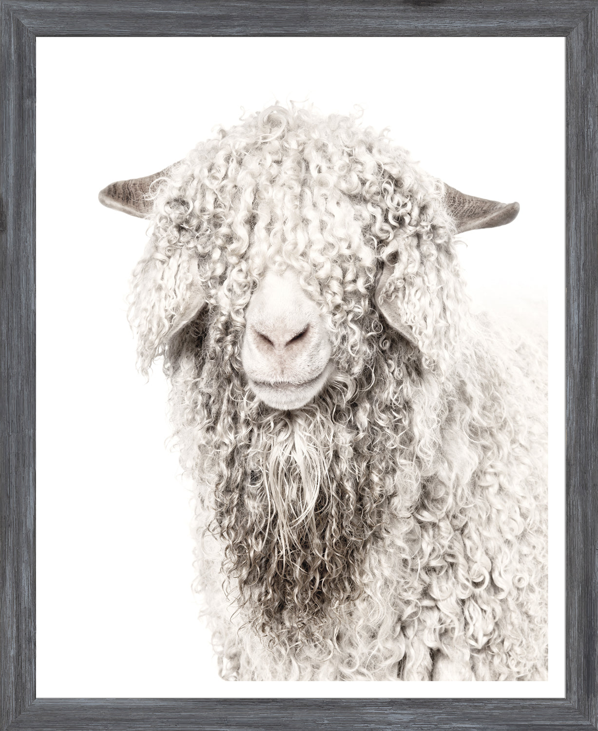 Angora Goat — nature and landscape fine art print in neutral tones at Laurie Yapp Home