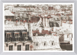 Terra Cotta Rooftops Paris I framed art print