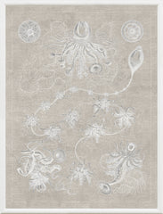 41 × 53 cm – Gris
