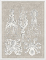 16 × 21 po – Gris