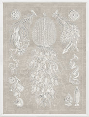 16 × 21 po – Gris