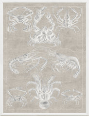 41 × 53 cm – Gris