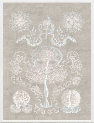 Marine Phyla II — still life fine art print shown from another angle