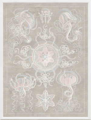 Marine Phyla IV — still life fine art print shown from another angle