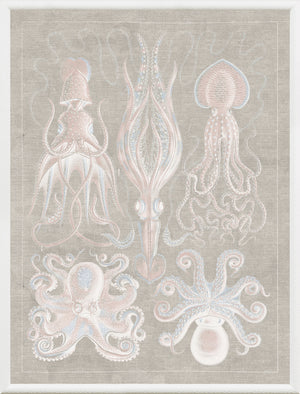 Marine Phyla VII — still life fine art print shown from another angle