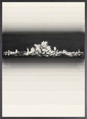 23 × 31 po