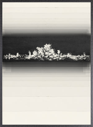 Evanescent I wall art featuring a monochromatic landscape with white and black tones.