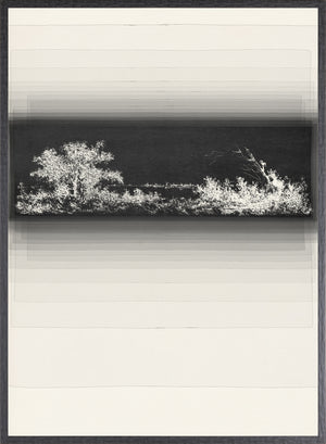 Evanescent II wall art featuring a monochromatic landscape with trees and a gradient background.