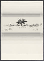 23 × 31 po