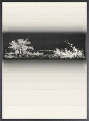 42 × 56 po