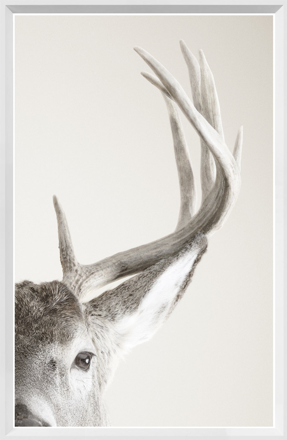 Focused Regard — nature and landscape fine art print in neutral tones at Laurie Yapp Home