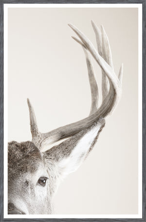 Focused Regard — nature and landscape fine art print shown from another angle