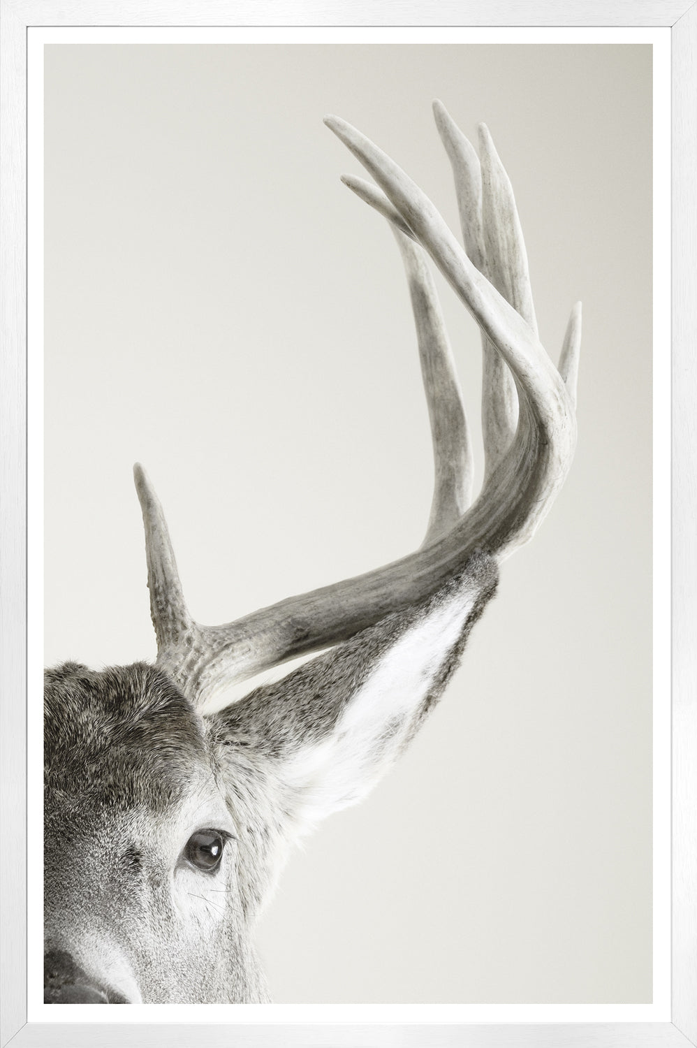 Focused Regard — nature and landscape fine art print shown from another angle