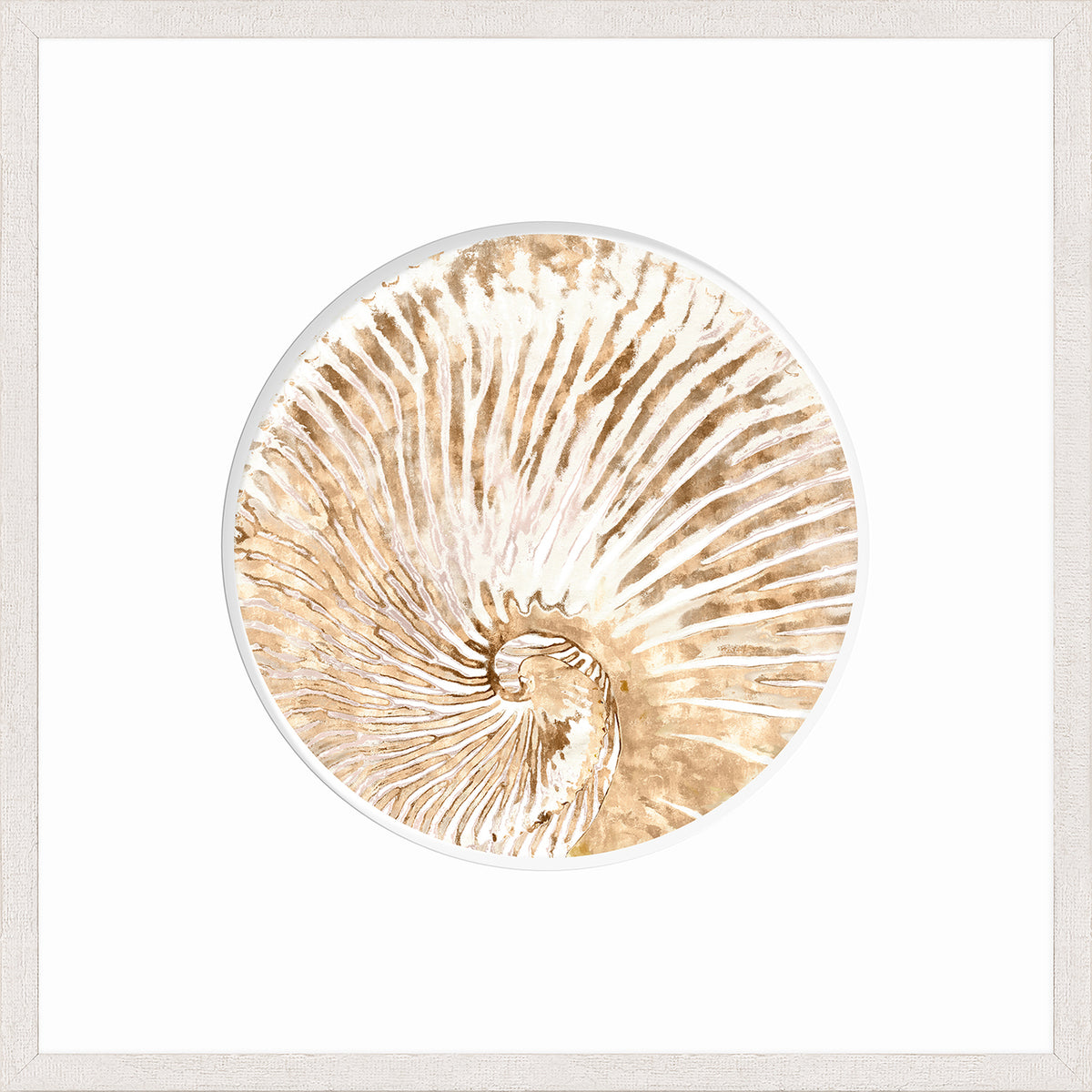 Nautilus I wall art featuring a watercolor nautilus shell in beige tones on a white background.