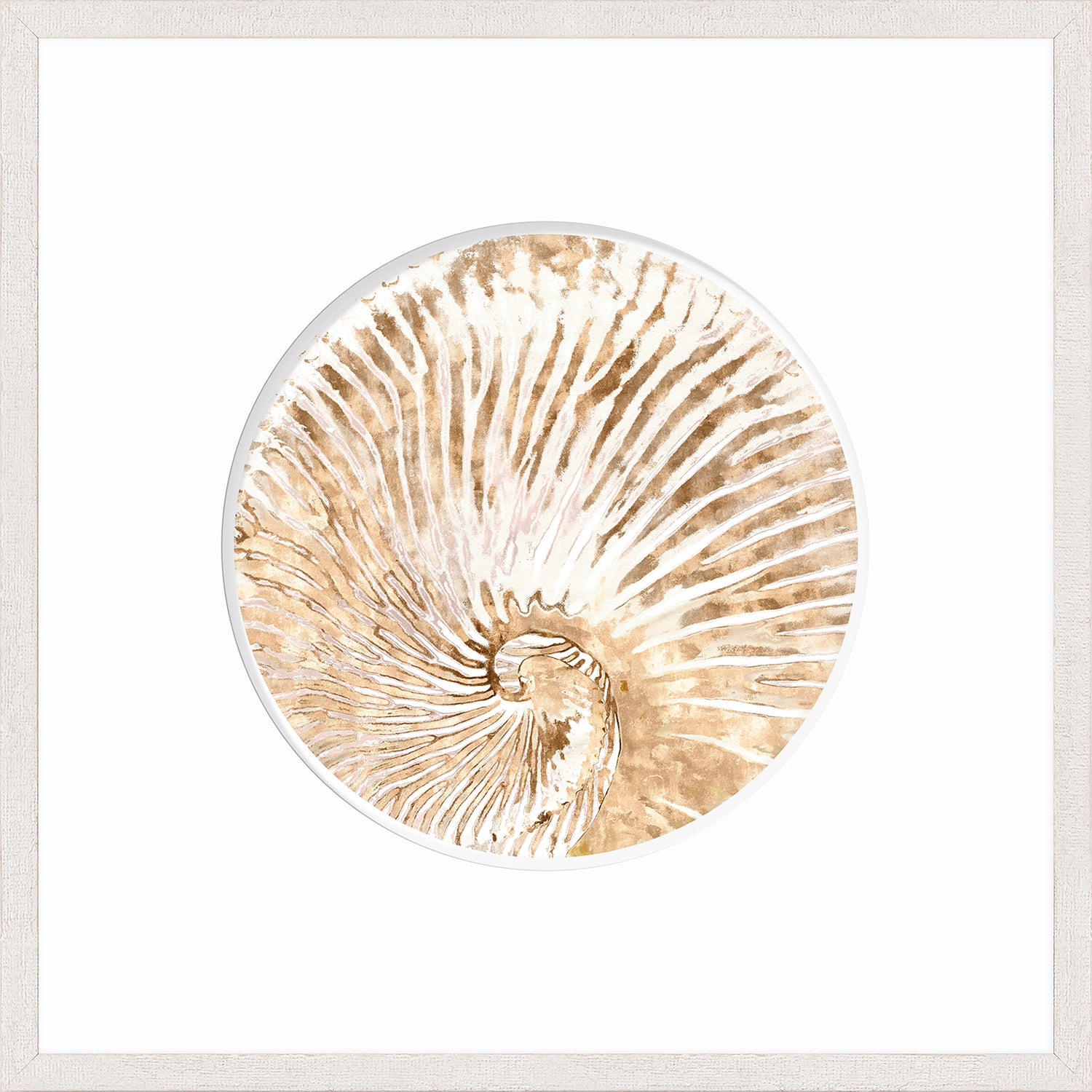 Nautilus I wall art featuring a watercolor nautilus shell in beige tones on a white background.