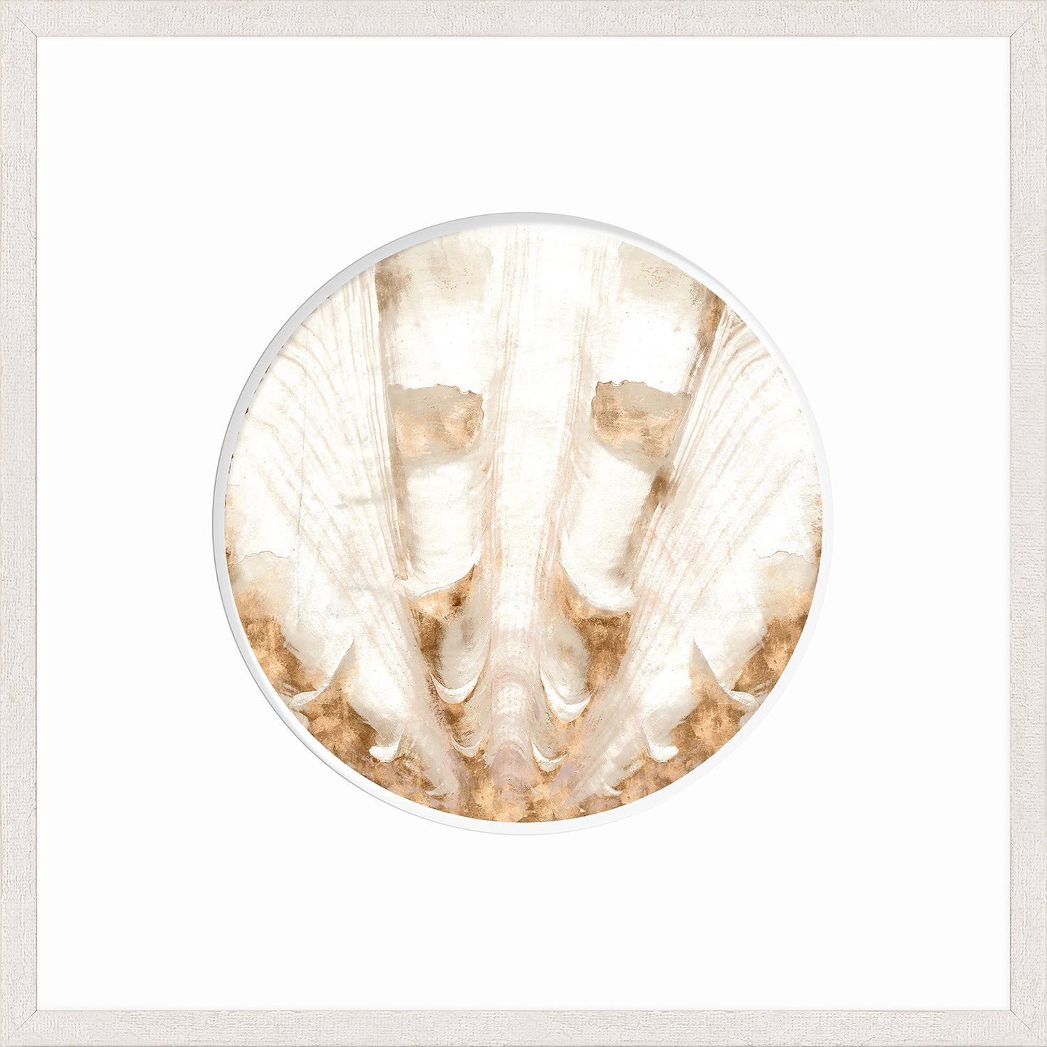 Nautilus II wall art featuring a circular shell design in soft beige and white tones