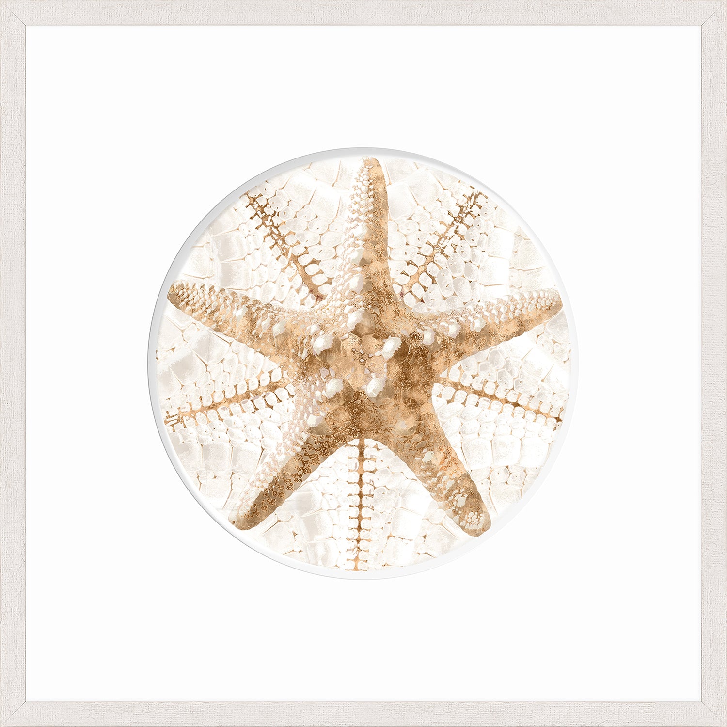 Nautilus III wall art featuring a detailed starfish design in neutral tones.