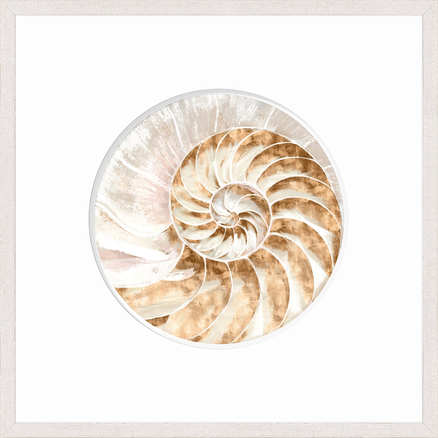 Nautilus IV wall art featuring a detailed nautilus shell in soft beige and white tones.
