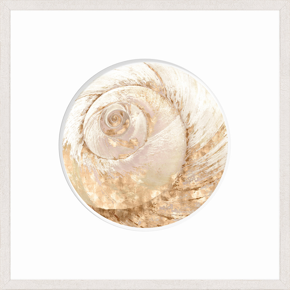 Nautilus V wall art featuring a spiral seashell design in soft gold and white tones.