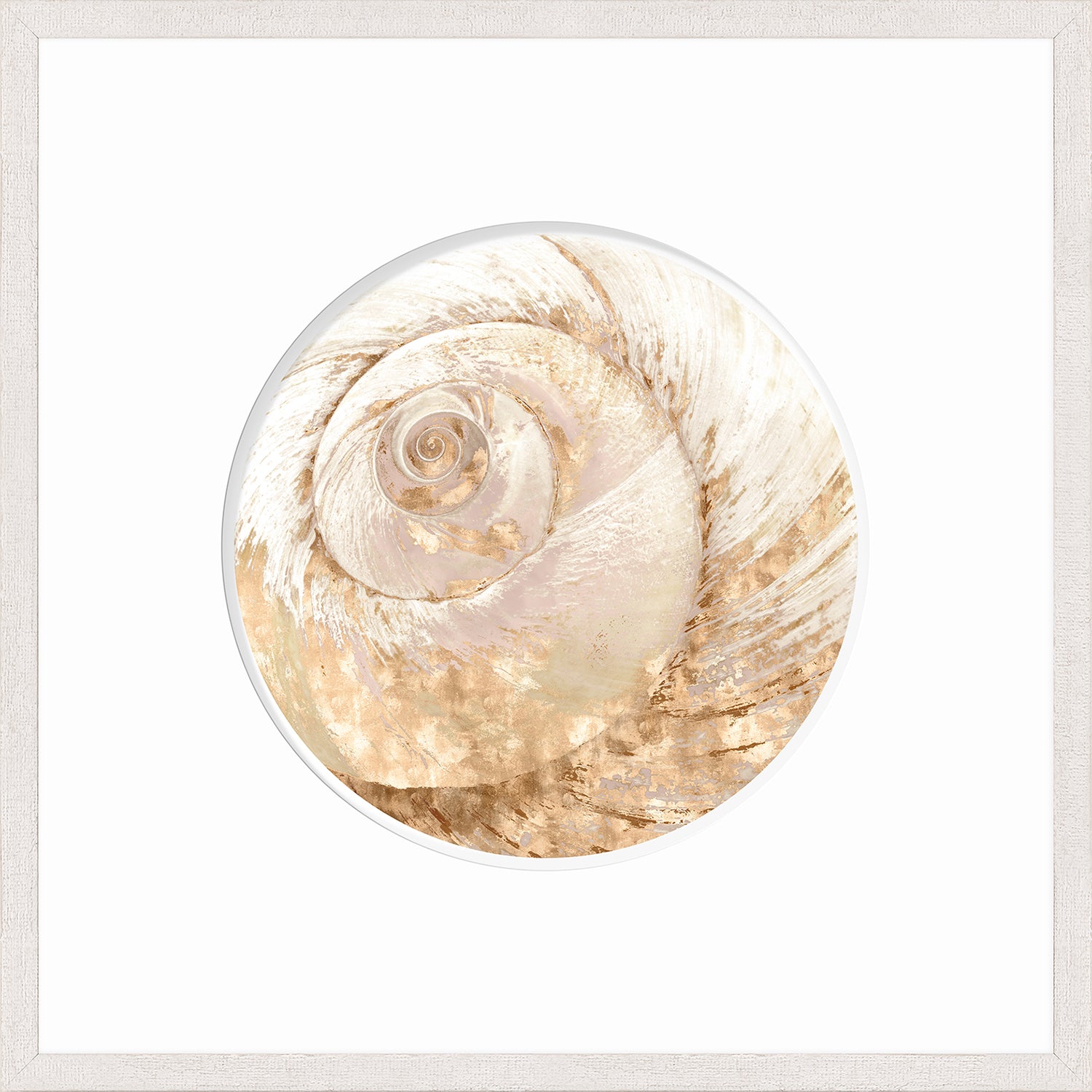Nautilus V wall art featuring a spiral seashell design in soft gold and white tones.