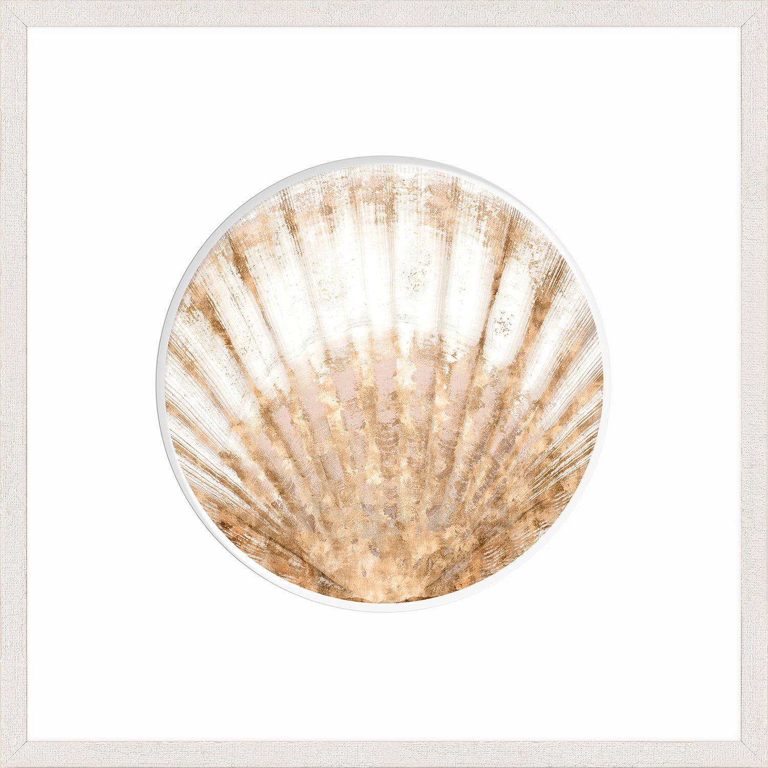 Nautilus VI wall art featuring a large, textured seashell in beige and white tones.