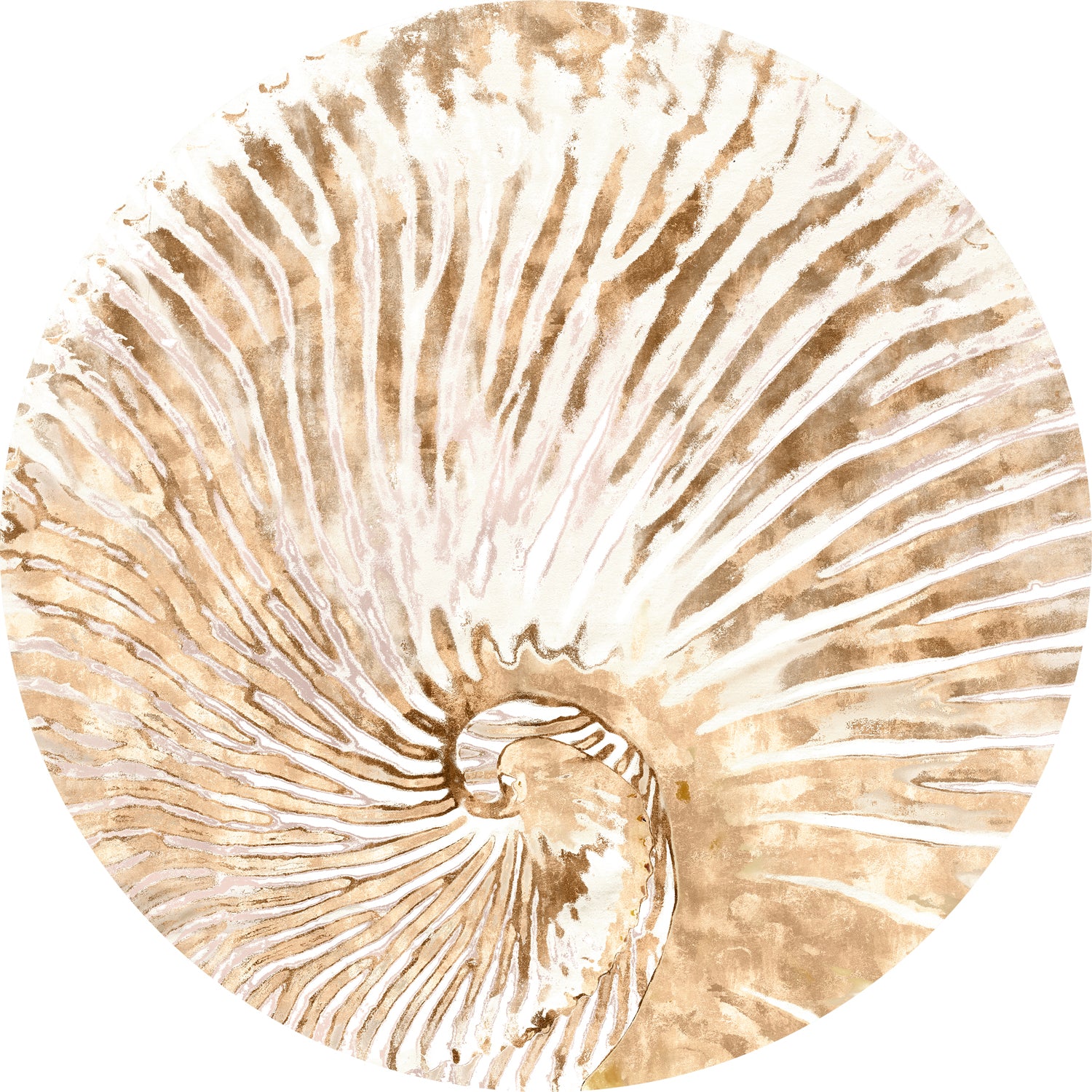 Nautilus I — nature and landscape fine art print in neutral tones at Laurie Yapp Home