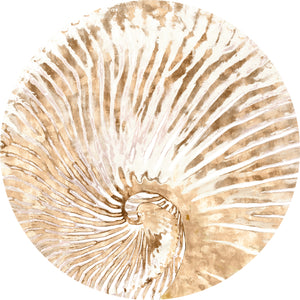 Nautilus I — nature and landscape fine art print in neutral tones at Laurie Yapp Home