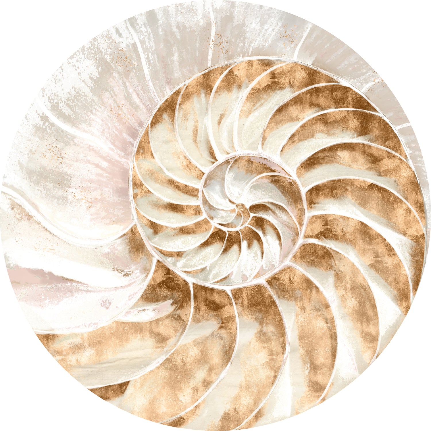 Nautilus IV — nature and landscape fine art print in neutral tones at Laurie Yapp Home